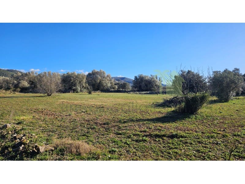 2 camera da letto Finca/Casa di Campagna in vendita in Sant Mateu - 280.000 € (Rif: 9619437)