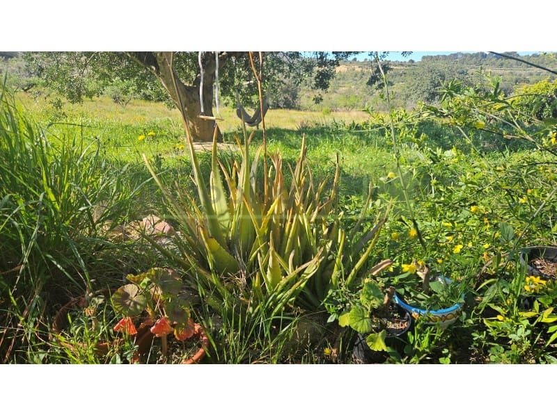 5 bedroom Finca/Country House for sale in Cervera del Maestre / Cervera del Maestrat - € 199,000 (Ref: 9747779)