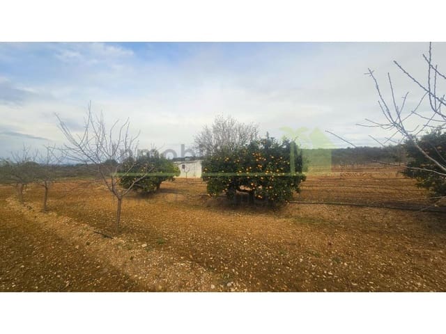 Mark till salu i Ulldecona - 25 000 € (Ref: 9758832)