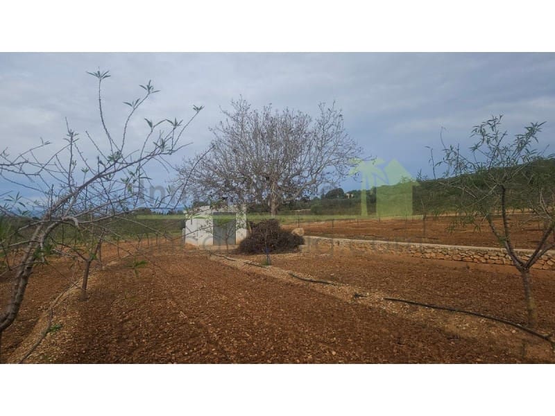 Mark till salu i Ulldecona - 25 000 € (Ref: 9758832)