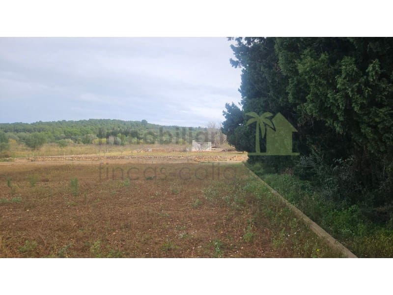 Mark till salu i Ulldecona - 25 000 € (Ref: 9758832)