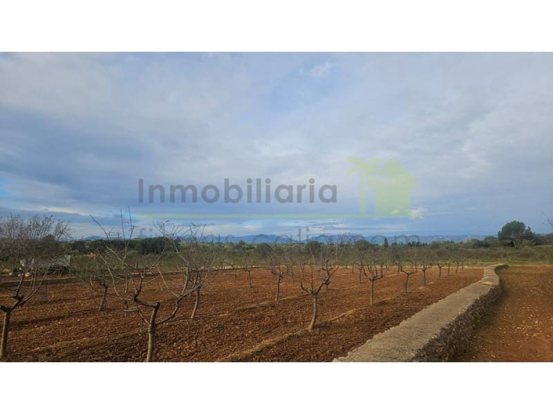 Mark till salu i Ulldecona - 25 000 € (Ref: 9758832)