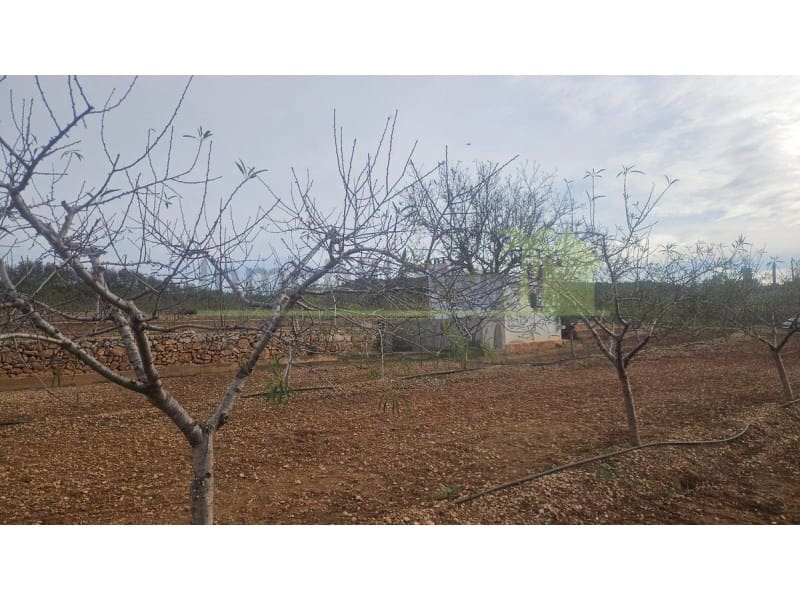 Mark till salu i Ulldecona - 25 000 € (Ref: 9758832)