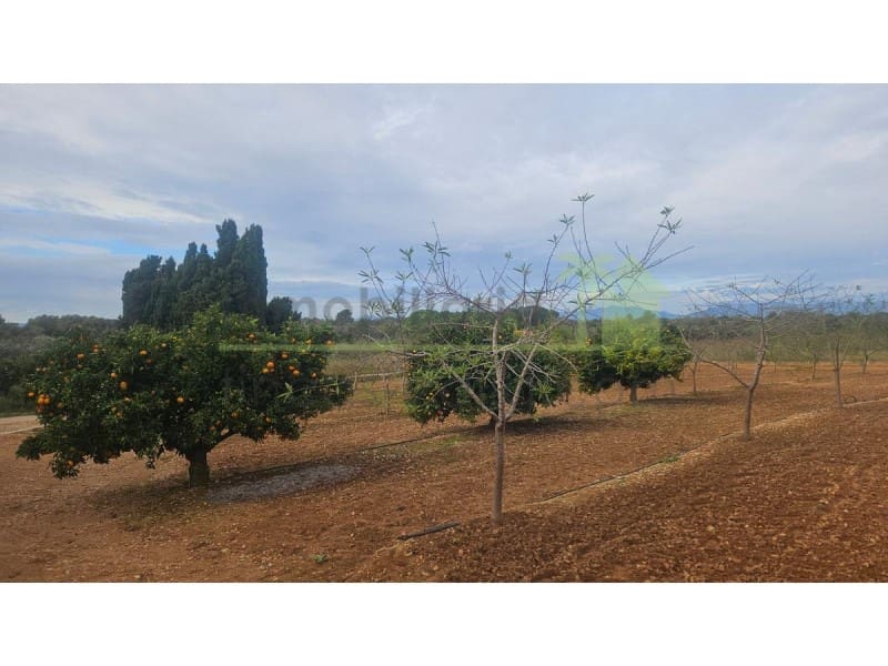 Mark till salu i Ulldecona - 25 000 € (Ref: 9758832)