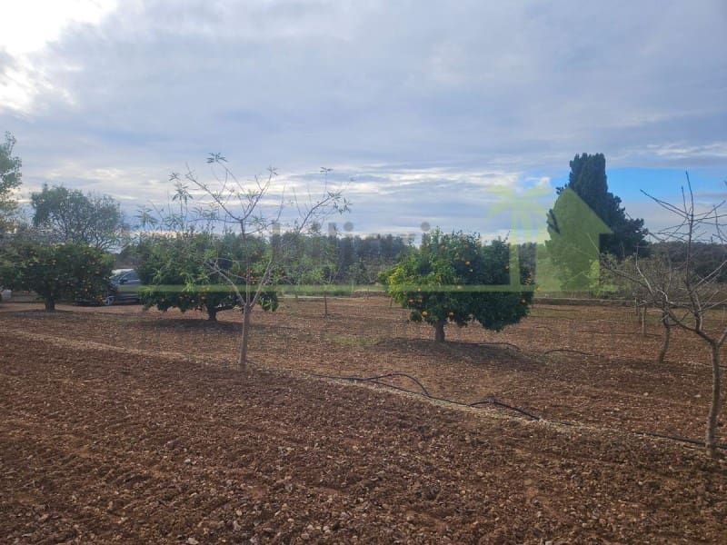 Mark till salu i Ulldecona - 25 000 € (Ref: 9758832)