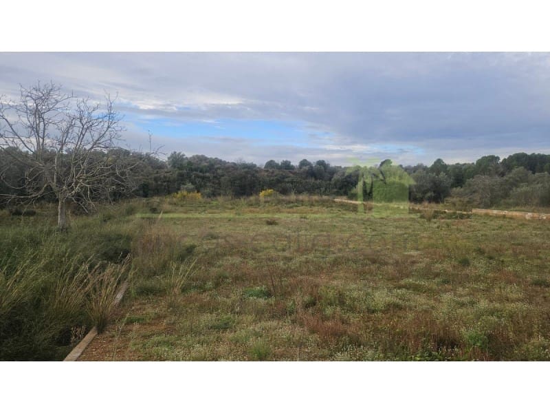 Mark till salu i Ulldecona - 25 000 € (Ref: 9758832)