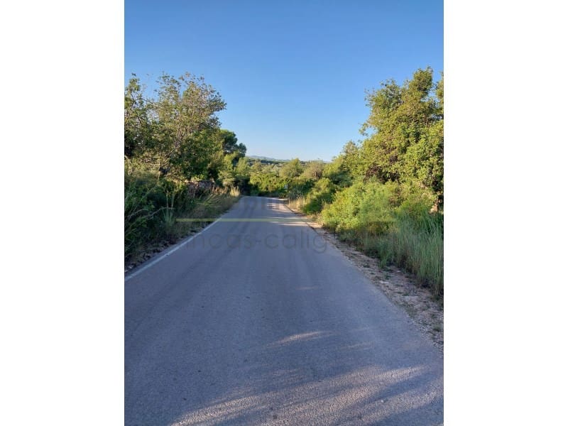 Undeveloped Land for sale in Vinaros - € 9,900 (Ref: 9836471)