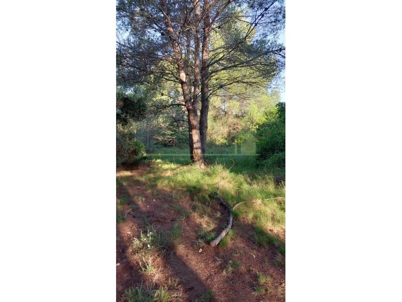 Undeveloped Land for sale in Vinaros - € 9,900 (Ref: 9836471)