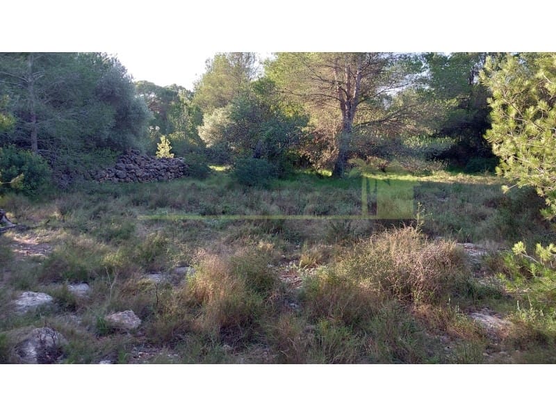 Undeveloped Land for sale in Vinaros - € 9,900 (Ref: 9836471)