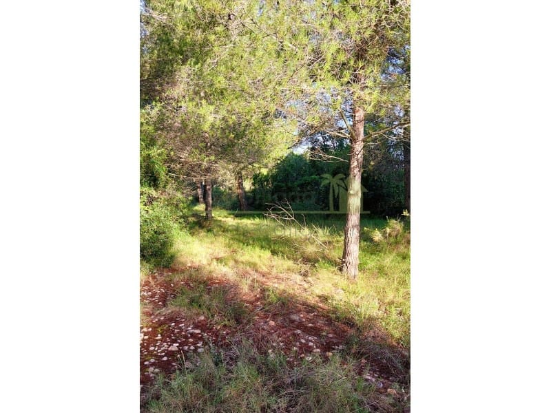 Undeveloped Land for sale in Vinaros - € 9,900 (Ref: 9836471)
