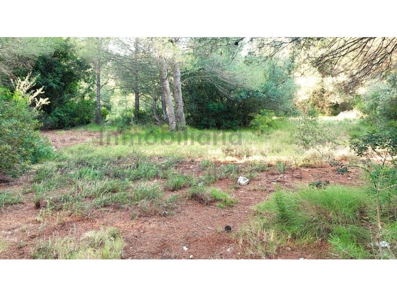 Undeveloped Land for sale in Vinaros - € 9,900 (Ref: 9836471)