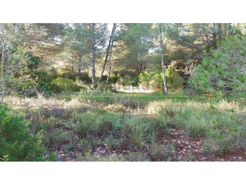 Undeveloped Land for sale in Vinaros - € 9,900 (Ref: 9836471)