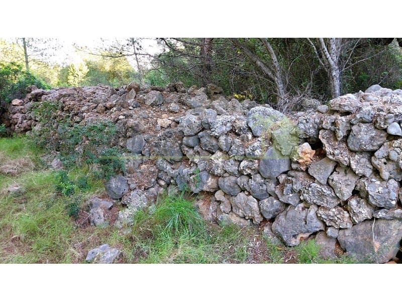 Undeveloped Land for sale in Vinaros - € 9,900 (Ref: 9836471)