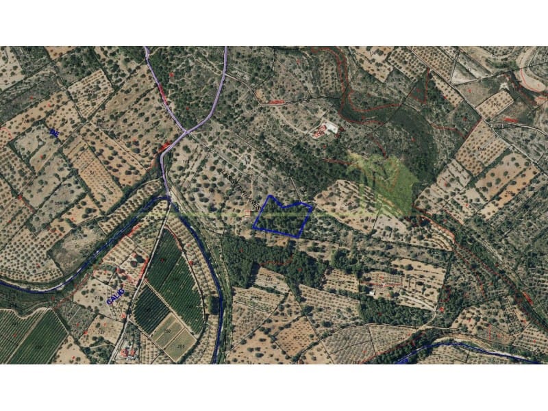 Undeveloped Land for sale in Vinaros - € 9,900 (Ref: 9836471)