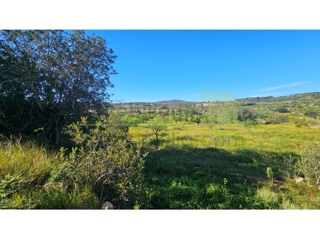 5 bedroom Finca/Country House for sale in Cervera del Maestre / Cervera del Maestrat - € 199,000 (Ref: 9840385)