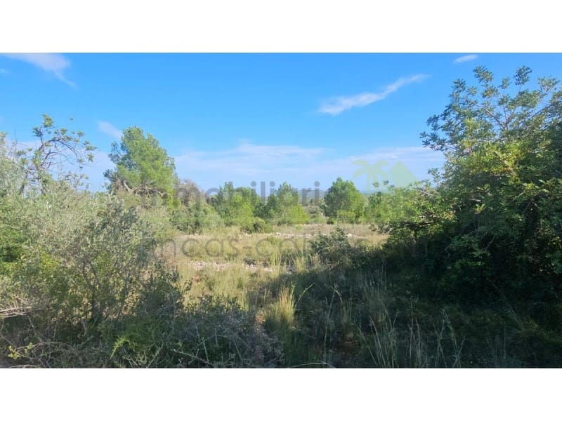 Undeveloped Land for sale in Calig - € 180,000 (Ref: 9846155)