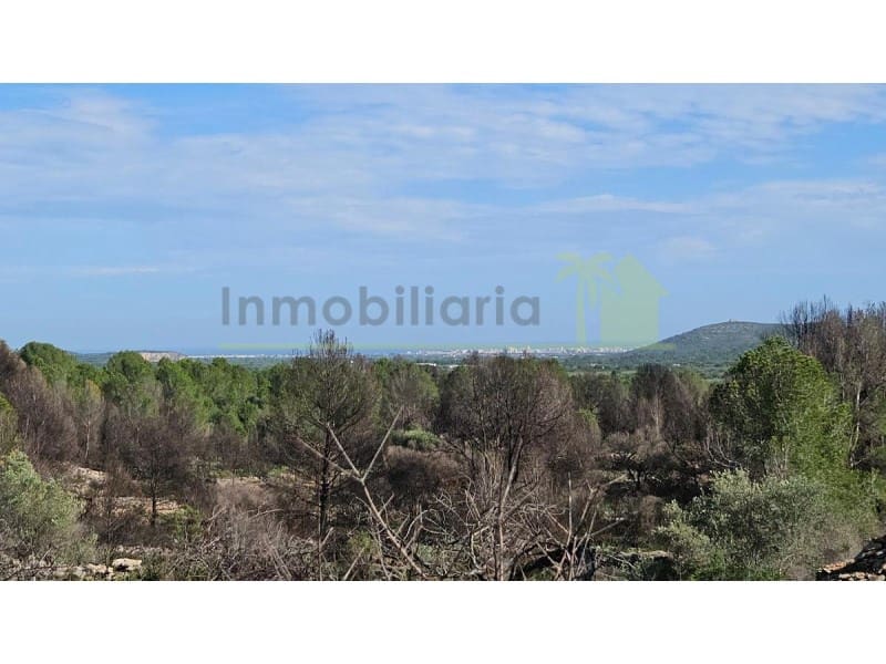 Undeveloped Land for sale in Calig - € 180,000 (Ref: 9846155)