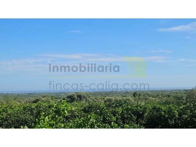 Ubebygd land til salgs i Càlig - € 180 000 (Ref: 9846155)