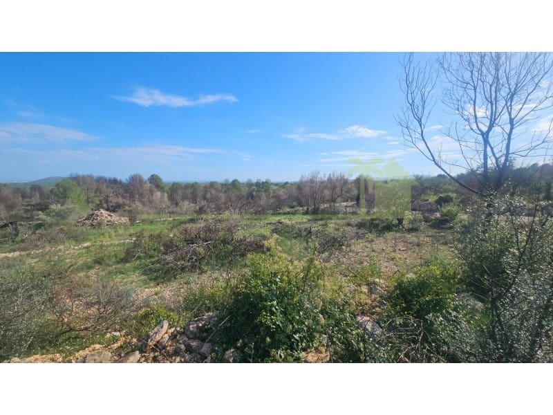 Undeveloped Land for sale in Calig - € 180,000 (Ref: 9846155)
