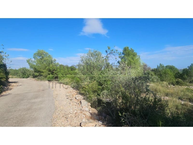 Undeveloped Land for sale in Calig - € 180,000 (Ref: 9846155)