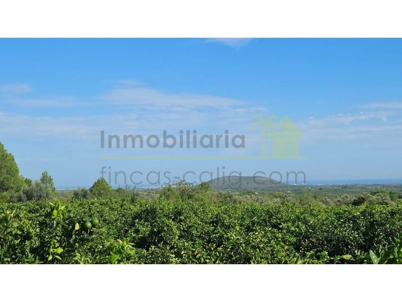 Undeveloped Land for sale in Calig - € 180,000 (Ref: 9846155)