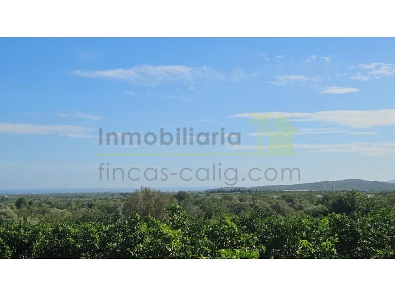 Undeveloped Land for sale in Calig - € 180,000 (Ref: 9846155)