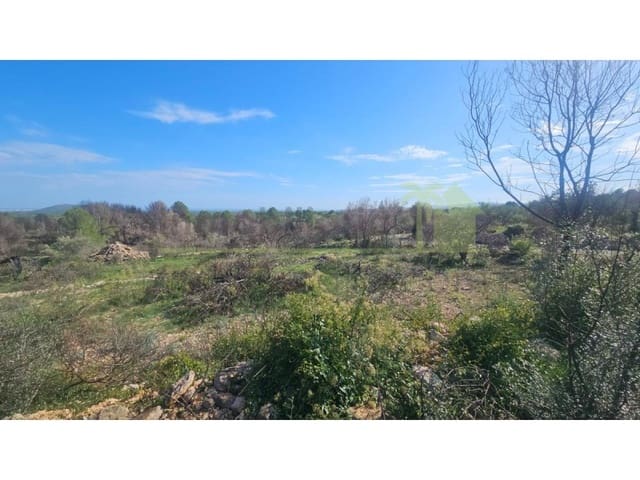 Ubebygd land til salgs i Càlig - € 180 000 (Ref: 9846155)