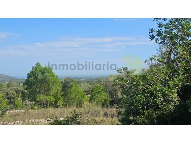 Ubebygd land til salgs i Càlig - € 180 000 (Ref: 9846155)