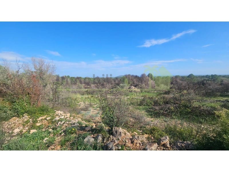 Undeveloped Land for sale in Calig - € 180,000 (Ref: 9846155)