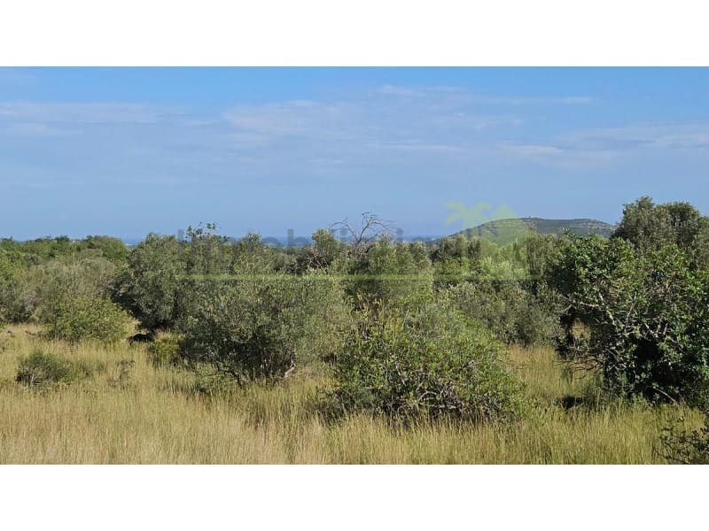 Undeveloped Land for sale in Calig - € 180,000 (Ref: 9846155)
