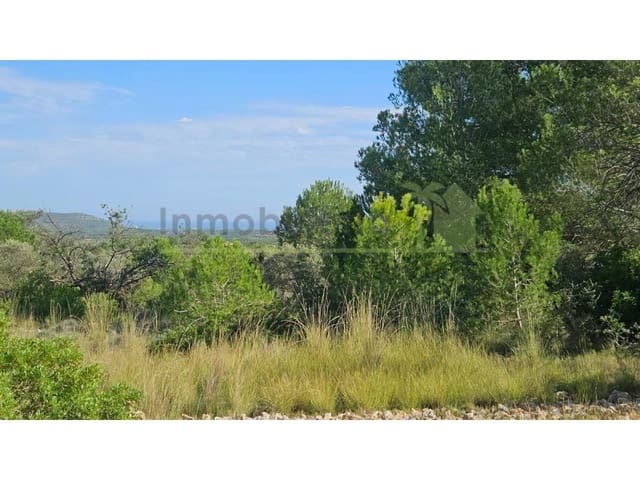 Ubebygd land til salgs i Càlig - € 180 000 (Ref: 9846155)