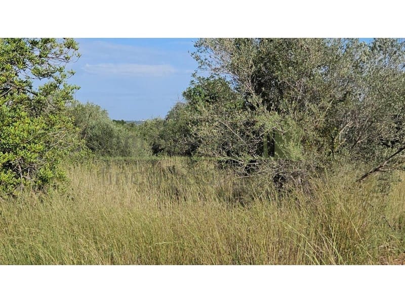 Undeveloped Land for sale in Calig - € 180,000 (Ref: 9846155)