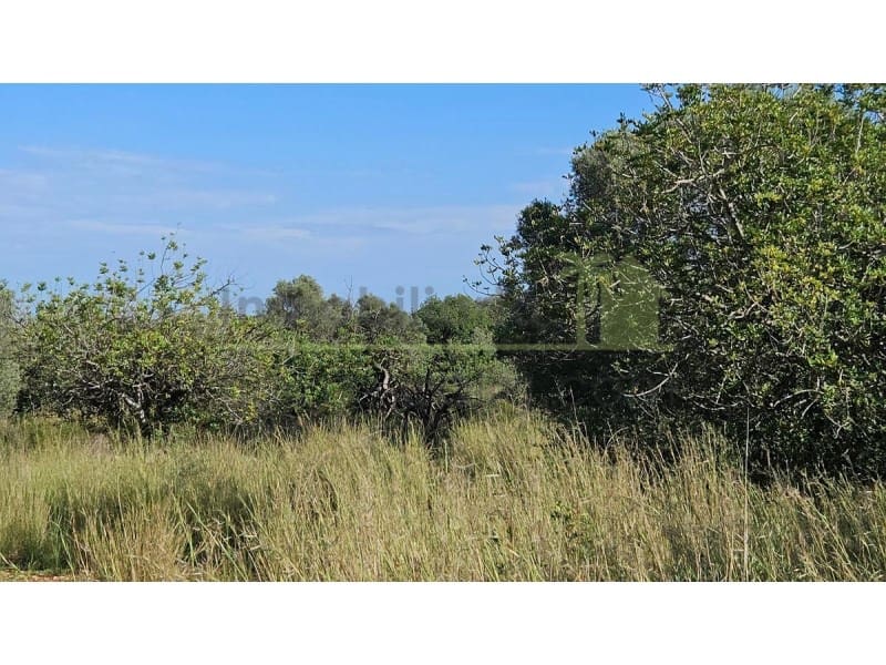 Undeveloped Land for sale in Calig - € 180,000 (Ref: 9846155)