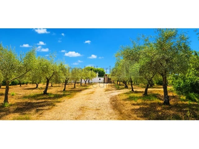 Finca/Herregård til salgs i Cervera del Maestre / Cervera del Maestrat - € 67 000 (Ref: 9990432)
