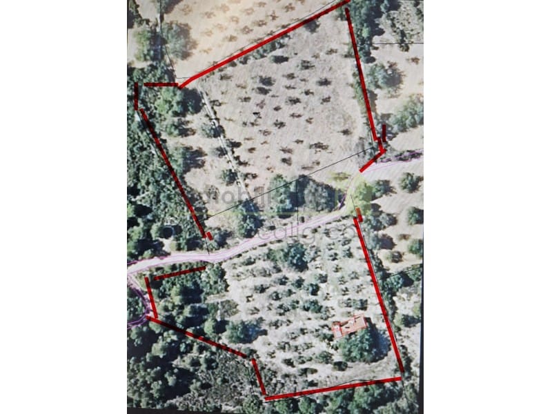 Finca/Casa di Campagna in vendita in Cervera del Maestre / Cervera del Maestrat - 67.000 € (Rif: 9990432)