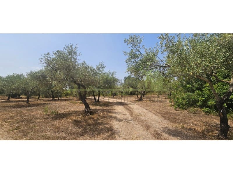Finca/Casa di Campagna in vendita in Cervera del Maestre / Cervera del Maestrat - 67.000 € (Rif: 9990432)