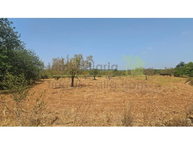 Finca/Casa di Campagna in vendita in Cervera del Maestre / Cervera del Maestrat - 67.000 € (Rif: 9990432)