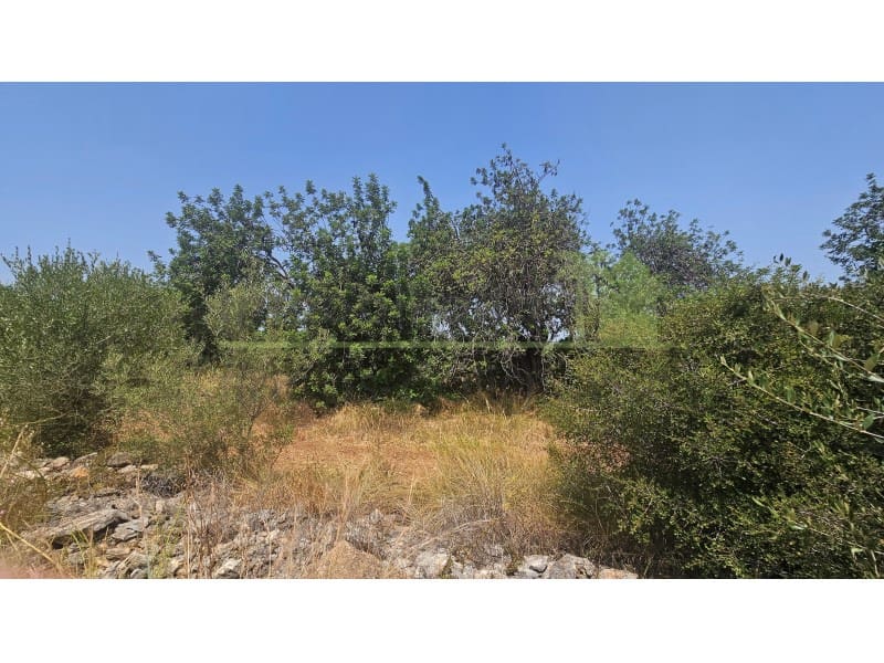 Finca/Casa di Campagna in vendita in Cervera del Maestre / Cervera del Maestrat - 67.000 € (Rif: 9990432)