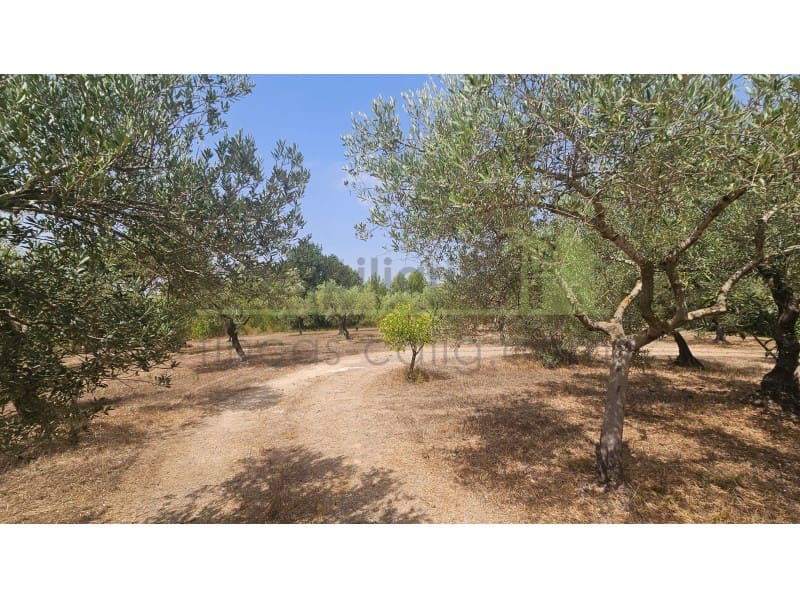 Finca/Casa di Campagna in vendita in Cervera del Maestre / Cervera del Maestrat - 67.000 € (Rif: 9990432)