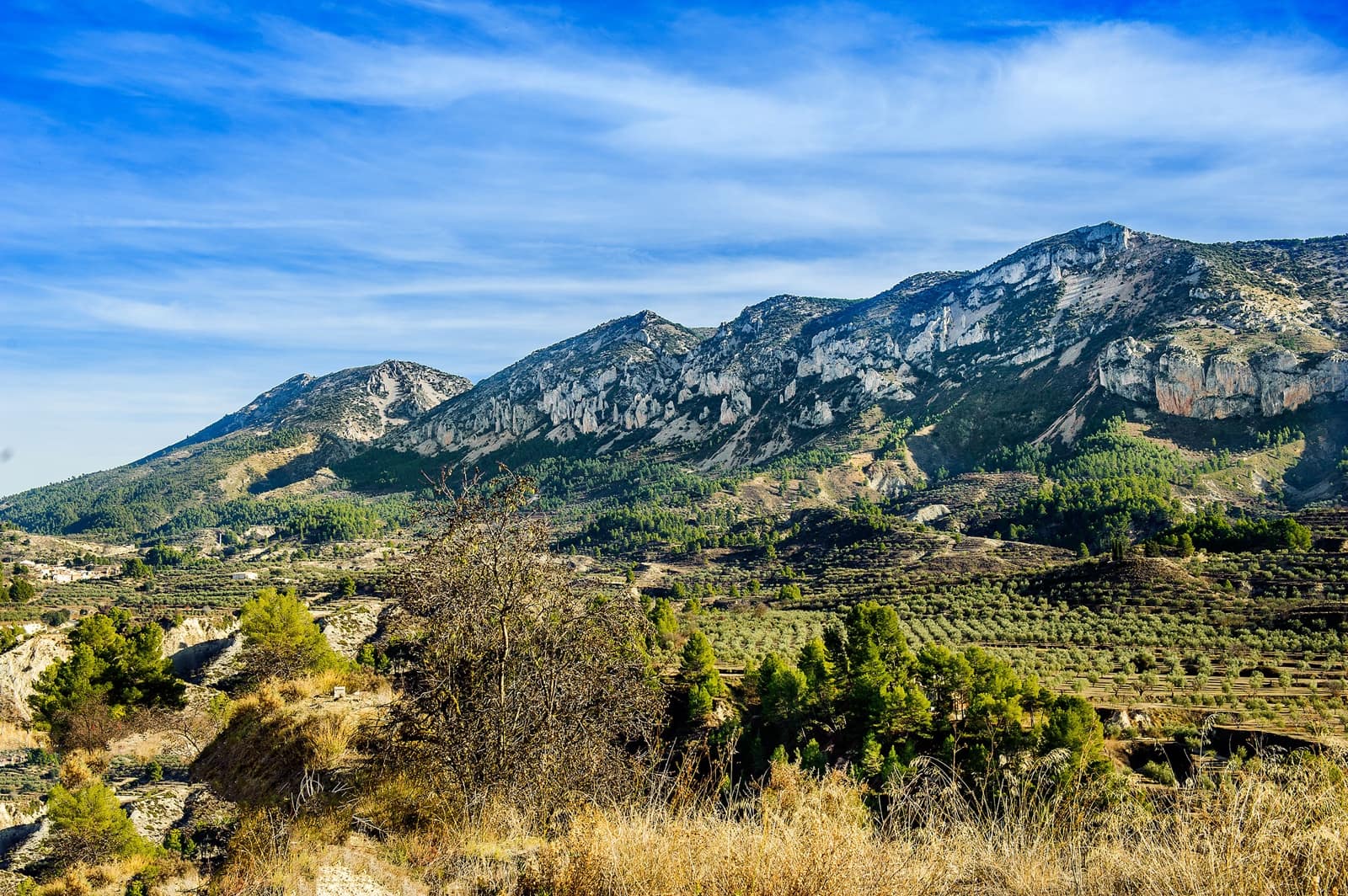 13 soverom Bedrift til salgs i Benasau med garasje - € 1 100 000 (Ref: 9475813)