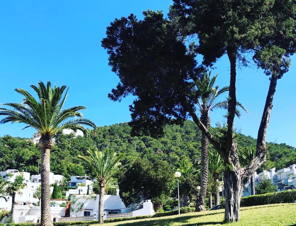 1 soverom Leilighet til salgs i Santa Eulalia / Santa Eularia med svømmebasseng - € 320 000 (Ref: 9546907)