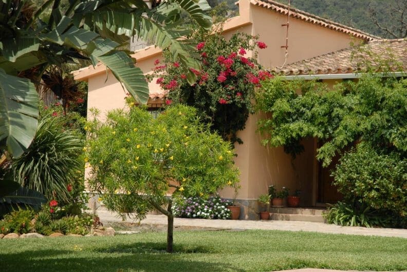 3 soveværelse Finca/Landehus til salg i Los Barrios med swimmingpool garage - € 645.000 (Ref: 5933038)