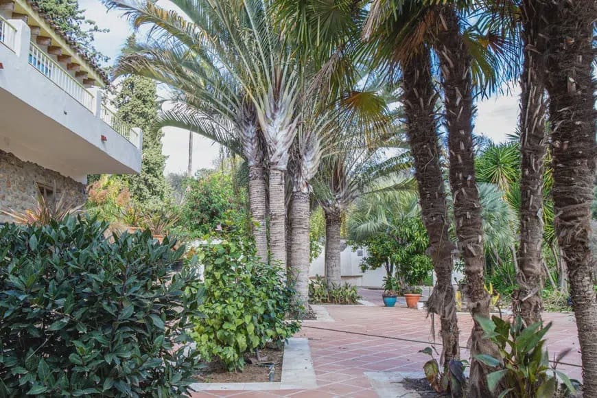 8 chambre Villa/Maison à vendre à San Pablo de Buceite avec garage - 595 000 € (Ref: 6965291)