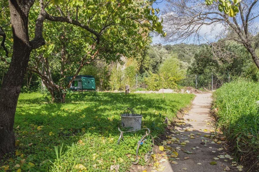 8 chambre Villa/Maison à vendre à San Pablo de Buceite avec garage - 595 000 € (Ref: 6965291)