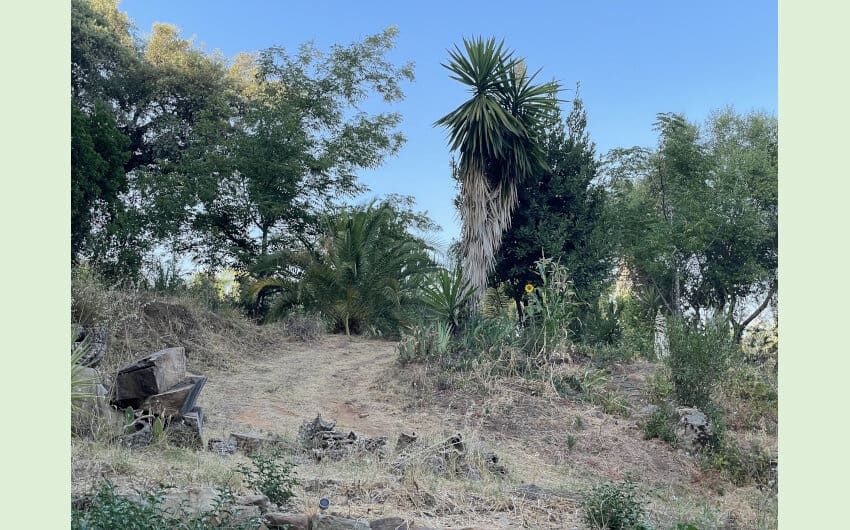 3 soveværelse Finca/Landehus til salg i Cortes de la Frontera med swimmingpool - € 495.000 (Ref: 7109607)