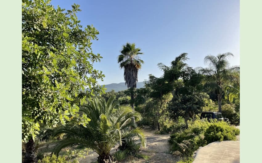 3 soveværelse Finca/Landehus til salg i Cortes de la Frontera med swimmingpool - € 495.000 (Ref: 7109607)