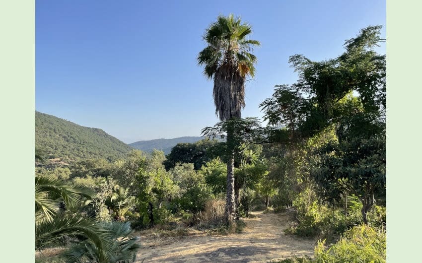 3 soveværelse Finca/Landehus til salg i Cortes de la Frontera med swimmingpool - € 495.000 (Ref: 7109607)