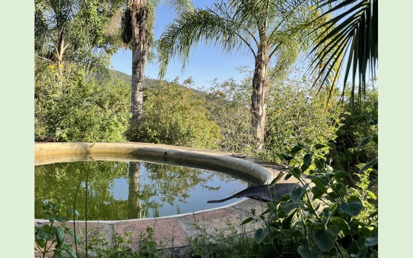 3 soveværelse Finca/Landehus til salg i Cortes de la Frontera med swimmingpool - € 495.000 (Ref: 7109607)