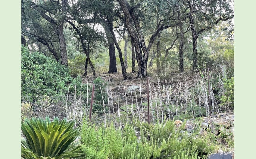 3 soveværelse Finca/Landehus til salg i Cortes de la Frontera med swimmingpool - € 495.000 (Ref: 7109607)