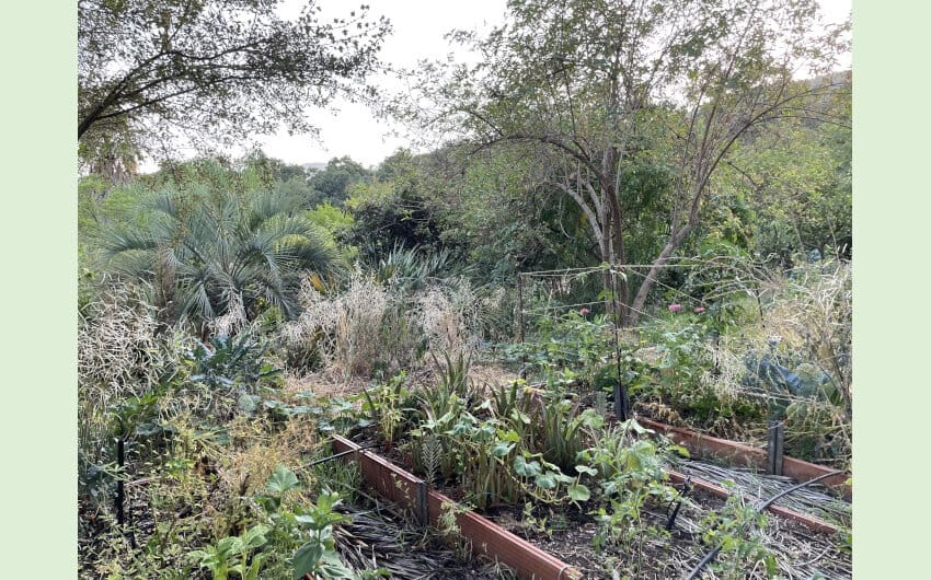 3 soveværelse Finca/Landehus til salg i Cortes de la Frontera med swimmingpool - € 495.000 (Ref: 7109607)